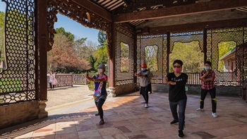 The many pavilions provide shade and comfortable space for a variety of activities and the gardens are popular with Tai Chi enthusiasts.